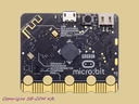 BBC micro:bit v2 panel back