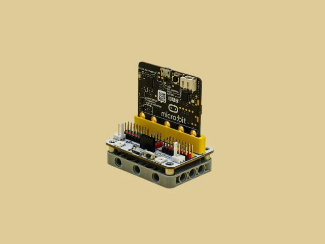 Wukong EF08207 back